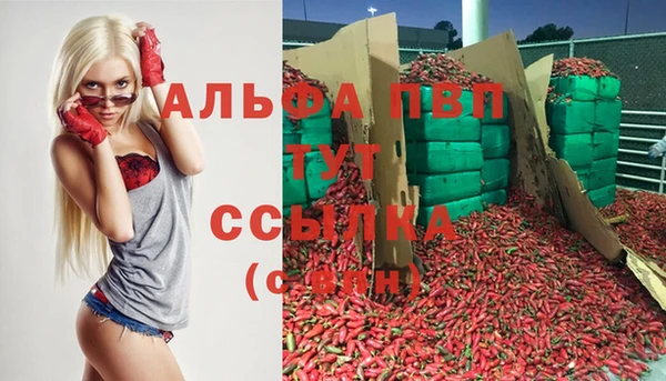 мдпв Алексин