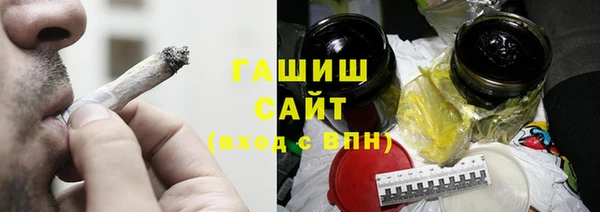 стаф Алзамай
