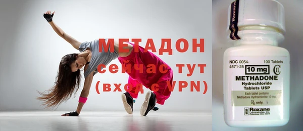 стаф Алзамай