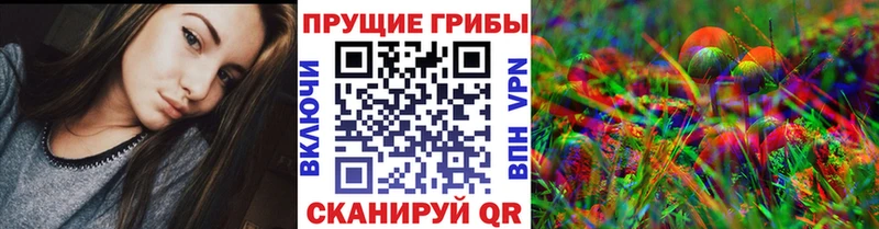 МЕГА tor где можно купить наркотик Бокситогорск Псилоцибиновые грибы Psilocybine cubensis